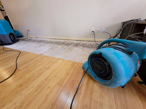 Professional Ceiling Water Damage Repair technician working in Homeworth, OH